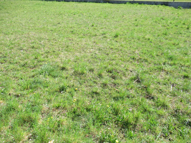 Per informazioni: 335/8345159. A Musano, frazione di Trevignano (TV) proponiamo in vendita terren...