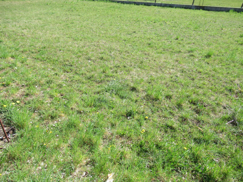 Per informazioni: 335/8345159. A Musano, frazione di Trevignano (TV) proponiamo in vendita terren...