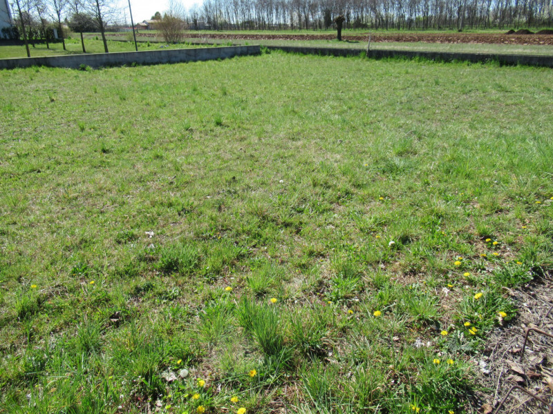 Per informazioni: 335/8345159. A Musano, frazione di Trevignano (TV), proponiamo in vendita terre...