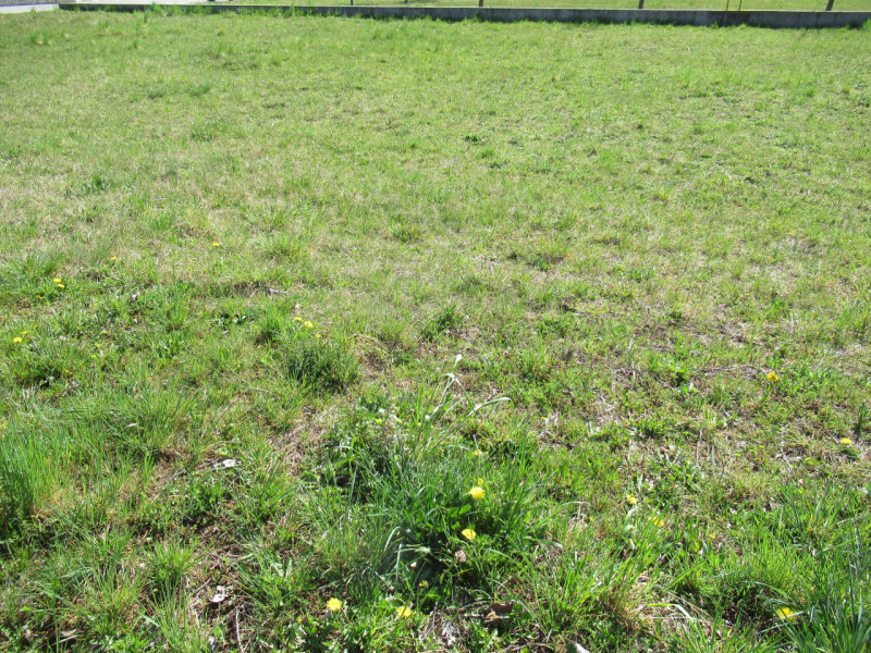 Per informazioni: 335/8345159. A Musano, frazione di Trevignano (TV), proponiamo in vendita terre...