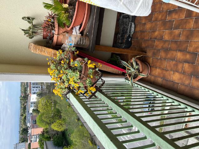 RIF. A.A. 331-24
                                                                                ...