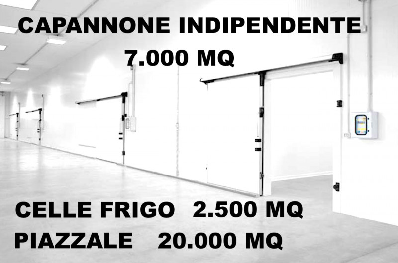 Mirandola Vendita Capannone