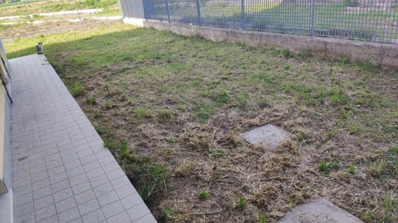 Campo San Martino : Affitto in centro al paese, mini appartamento completamente arredato, al pian...