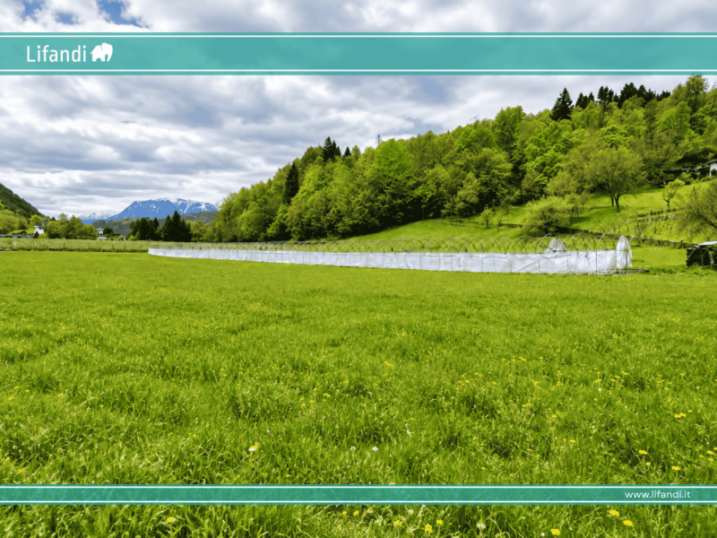 VENDITE Terreni a Pergine Valsugana &ndash; foto 1