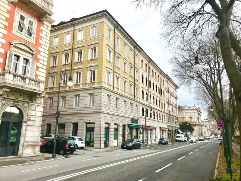 VENDO Attività e Licenze a Trieste – foto 1