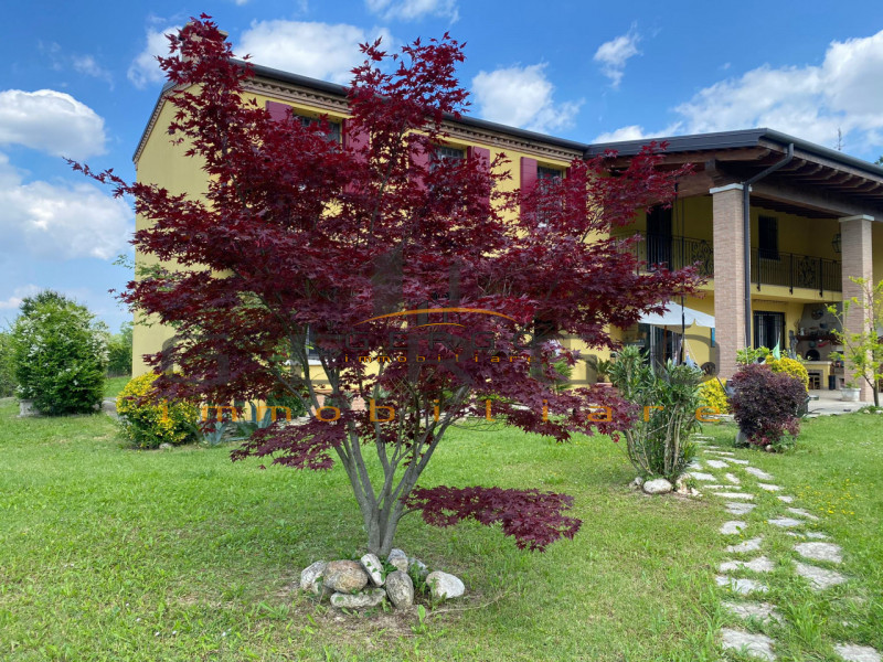 (Per INFO Cristina 3389226442) Ad Albignasego, in zona tranquilla e vicina al centro, proponiamo ...