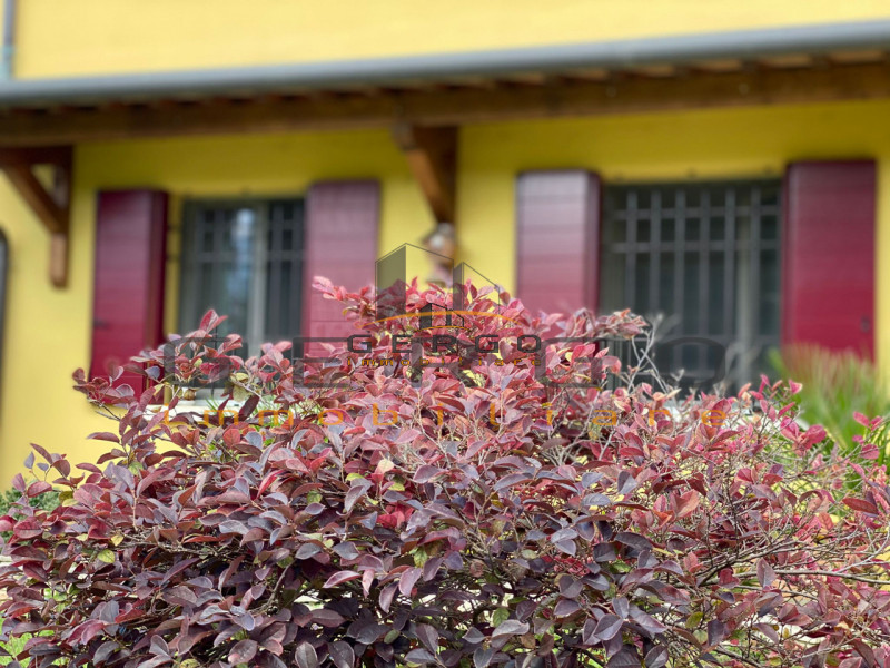 (Per INFO Cristina 3389226442) Ad Albignasego, in zona tranquilla e vicina al centro, proponiamo ...