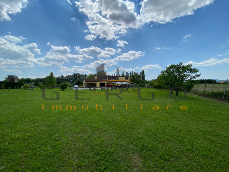 (Per INFO Cristina 3389226442) Ad Albignasego, in zona tranquilla e vicina al centro, proponiamo ...