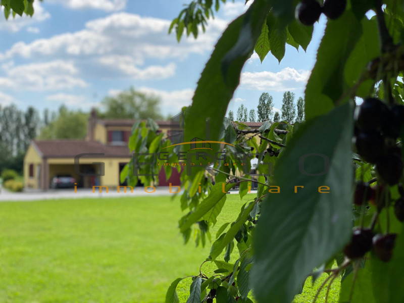 (Per INFO Cristina 3389226442) Ad Albignasego, in zona tranquilla e vicina al centro, proponiamo ...