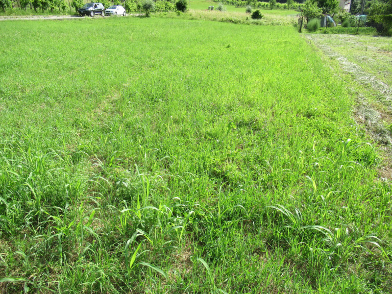 A Miane (TV) in zona residenziale collinare, proponiamo in vendita ampio terreno edificabile resi...