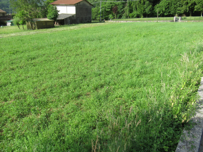A Miane (TV) in zona residenziale collinare, proponiamo in vendita ampio terreno edificabile resi...