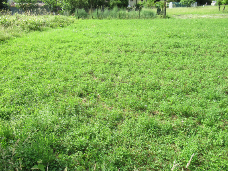 A Miane (TV) in zona residenziale collinare, proponiamo in vendita ampio terreno edificabile resi...