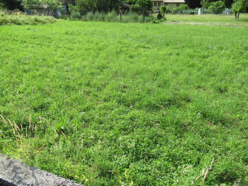 A Miane (TV) in zona residenziale collinare, proponiamo in vendita ampio terreno edificabile resi...
