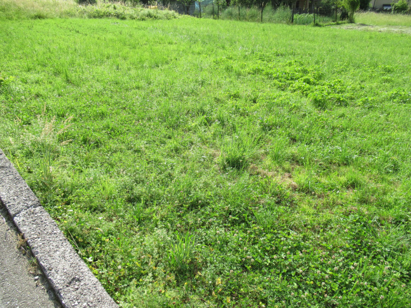 A Miane (TV) in zona residenziale collinare, proponiamo in vendita ampio terreno edificabile resi...