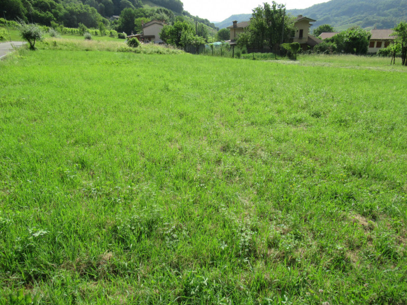 A Miane (TV) in zona residenziale collinare, proponiamo in vendita ampio terreno edificabile resi...