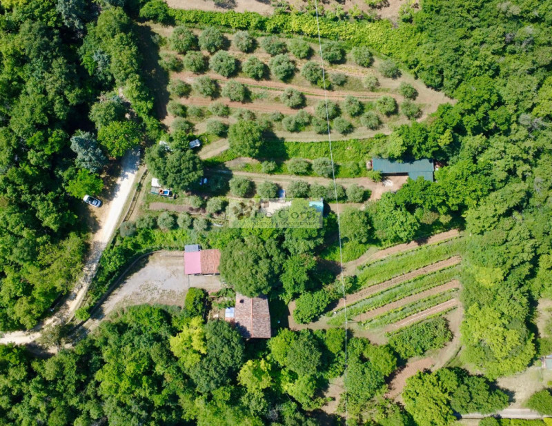 Scopri un affascinante rustico casale nel cuore della Val Liona, precisamente nella suggestiva zo...