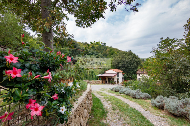 Scopri un affascinante rustico casale nel cuore della Val Liona, precisamente nella suggestiva zo...