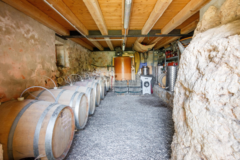 Scopri un affascinante rustico casale nel cuore della Val Liona, precisamente nella suggestiva zo...