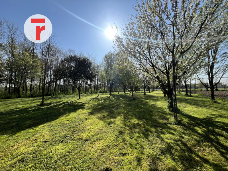 Ci troviamo nel Comune di Limena, in zona periferica verdeggiante a pochi passi dal centro paese;...