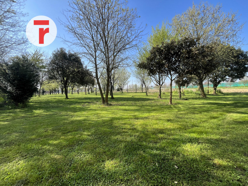 Ci troviamo nel Comune di Limena, in zona periferica verdeggiante a pochi passi dal centro paese;...