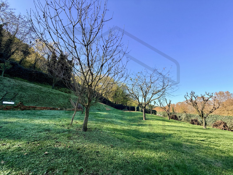 MONTEGROTTO TERME - In una splendida zona verde di Montegrotto Terme, precisamente nella tranquil...