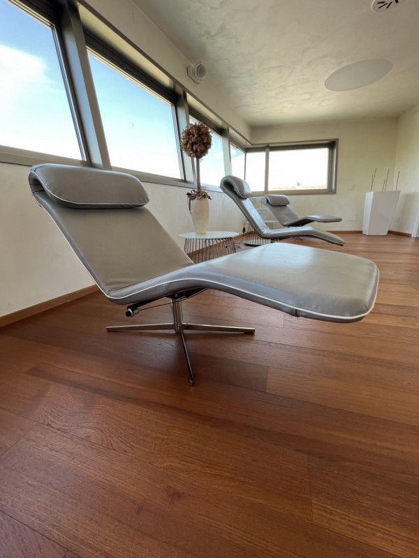 Nel cuore della zona industriale di Mestrino, a pochi passi dal centro e dai principali servizi, ...