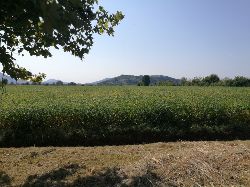 Rovolon (PD), Zona Lovolo: 

Sei alla ricerca della tranquillità?

Ti piacciono gli spazi aperti ...