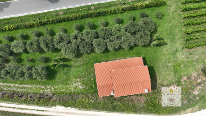 Proponiamo a Cinto Euganeo NUOVA COSTRUZIONE attualmente allo stato grezzo per Villa Singola in s...