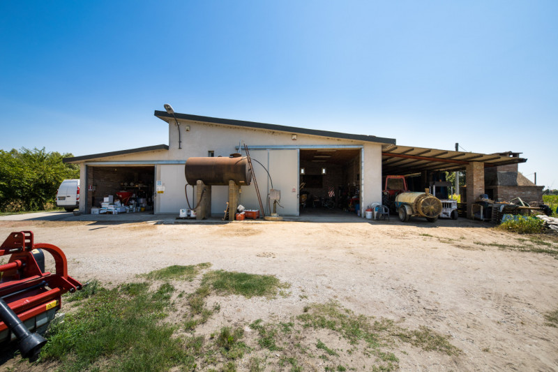 Proponiamo in vendita in Loc. Concadirame a Lusia, terreno agricolo con una superficie totale di ...