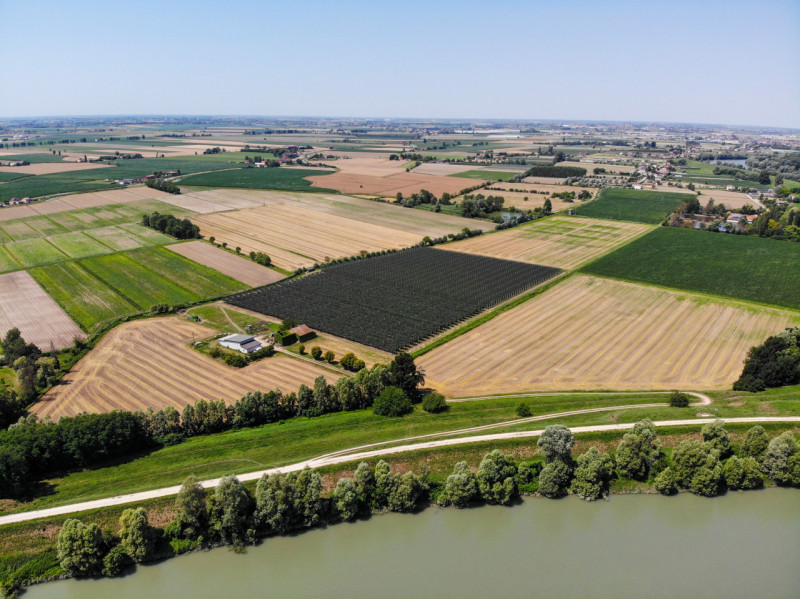 Proponiamo in vendita in Loc. Concadirame a Lusia, terreno agricolo con una superficie totale di ...
