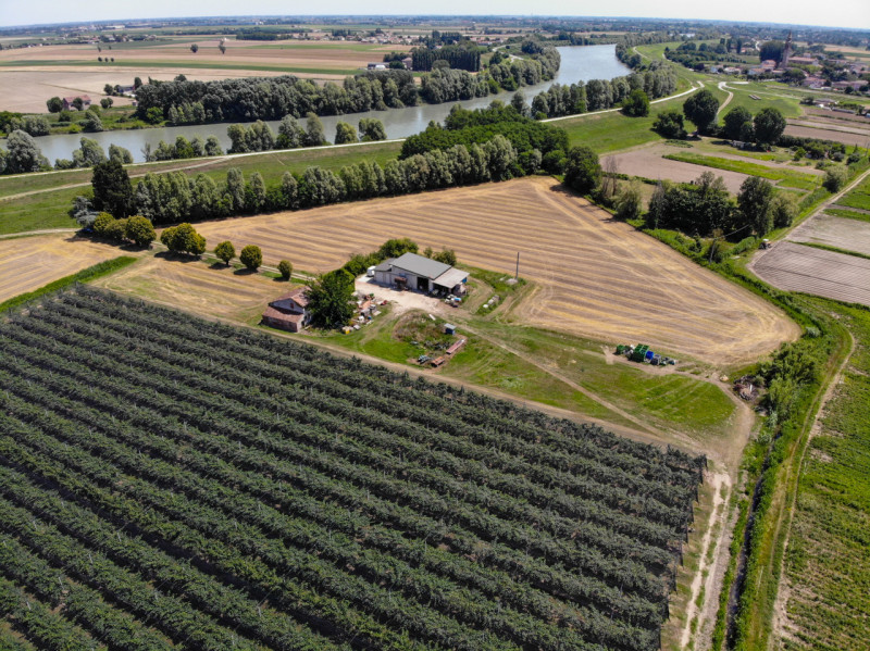 Proponiamo in vendita in Loc. Concadirame a Lusia, terreno agricolo con una superficie totale di ...