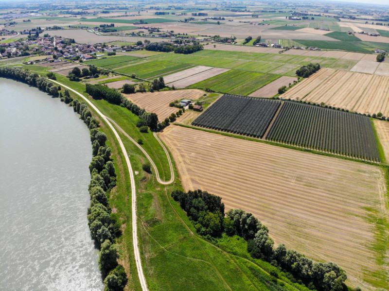 Proponiamo in vendita in Loc. Concadirame a Lusia, terreno agricolo con una superficie totale di ...