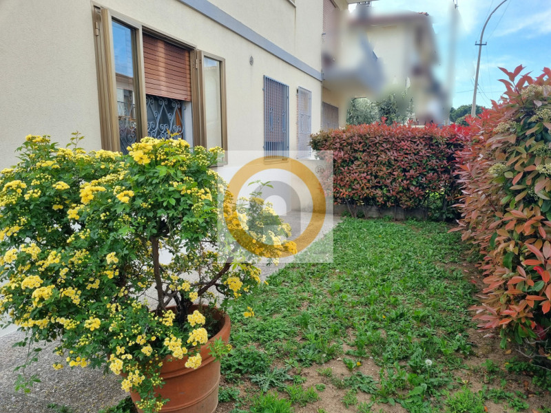 Bassano del Grappa Affitto Appartamento bilocale