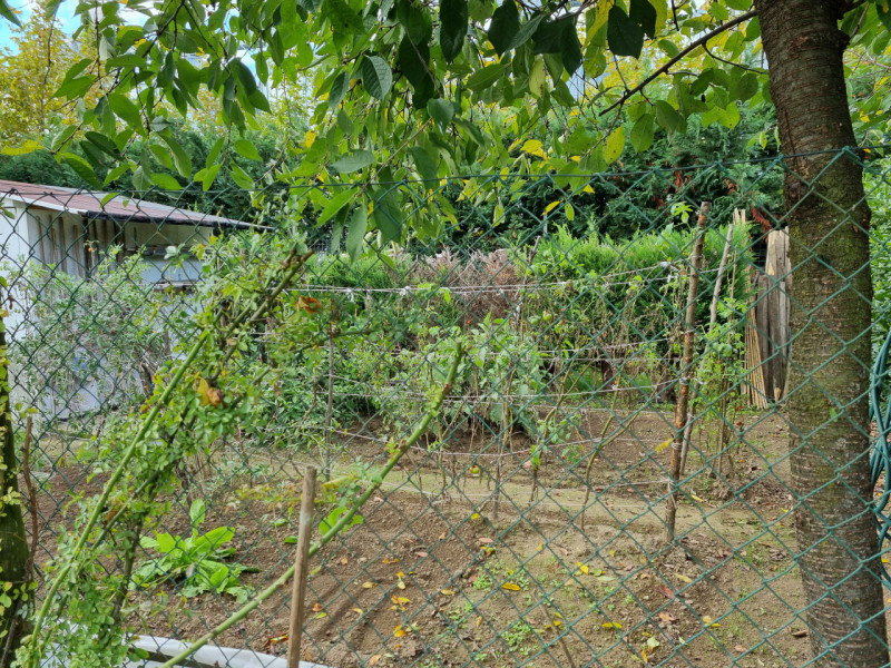 Favolosa casa singola composta da: ampio portico con ingresso, sala da pranzo, cucina, spazioso e...