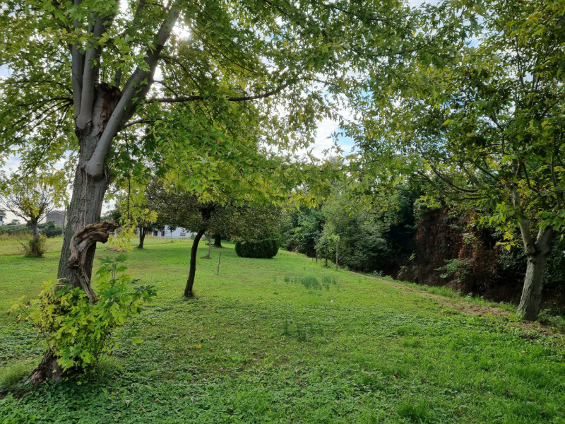 Favolosa casa singola composta da: ampio portico con ingresso, sala da pranzo, cucina, spazioso e...