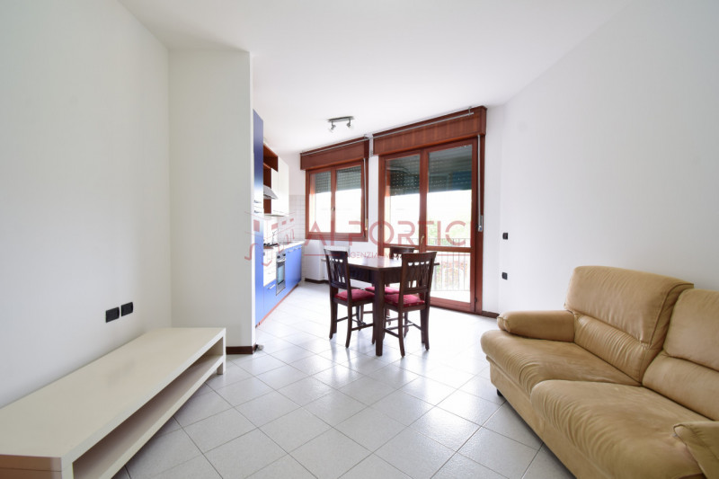 Piove di Sacco Affitto Appartamento