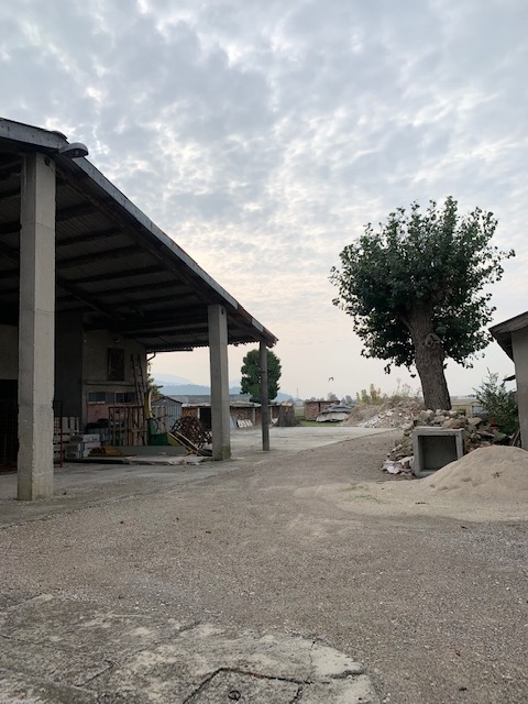 LOVOLO DI ROVOLON (PD) CAPANNONE AGRICOLO di mq. 650 circa , uso magazzino, non dotato di impiant...