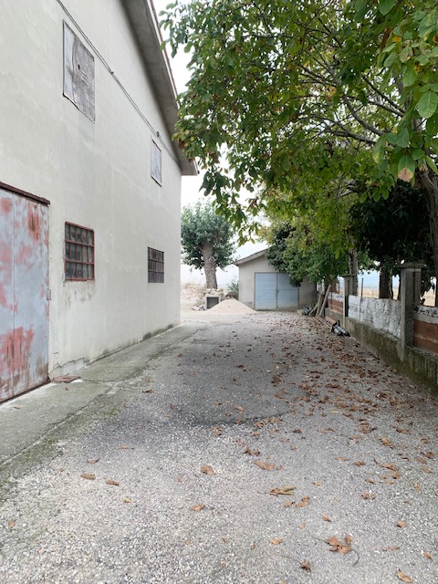 LOVOLO DI ROVOLON (PD) CAPANNONE AGRICOLO di mq. 650 circa , uso magazzino, non dotato di impiant...