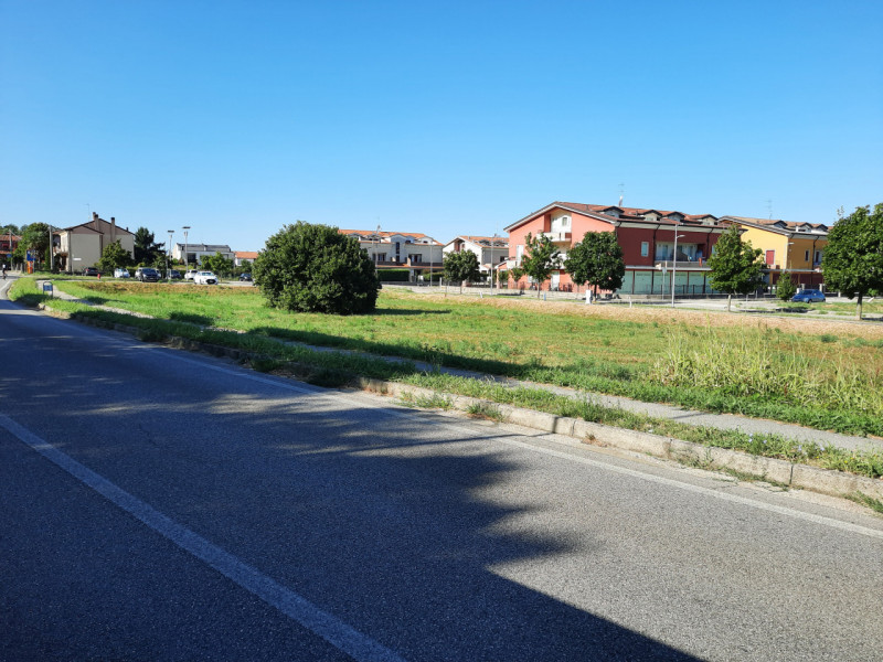 Carbonara frazione del Comune di Rovolon nei Colli Euganei (zona splendida). Lotto di terreno edi...