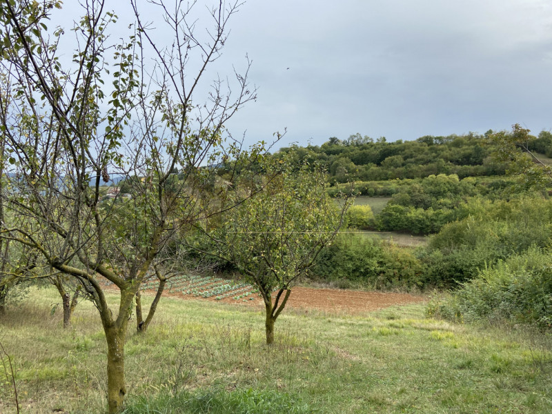 Sarego Vendita Rustico