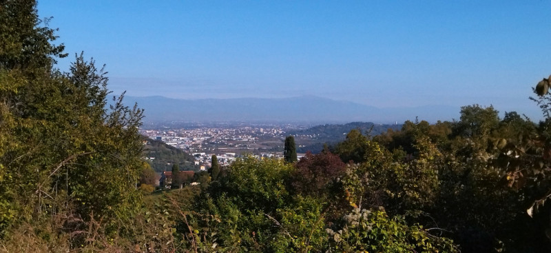 TERRENO EDIFICABILE IN VENDITA A PERAROLO DI ARCUGNANO - POSIZIONE PANORAMICA! - Rif. 7661
In zon...