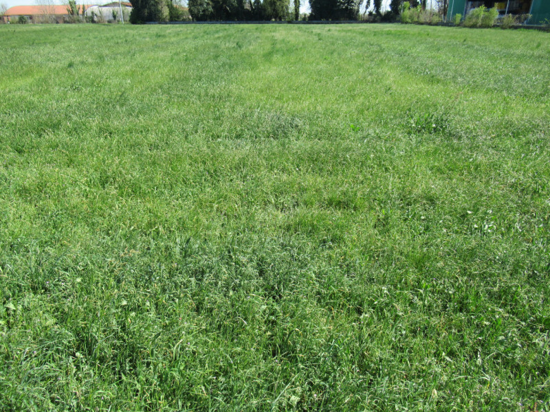 Per informazioni: 335/8345159. A Trevignano (TV), in prossimità della zona industriale Sant'Elena...