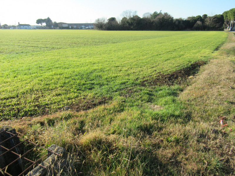 Per informazioni: 335/8345159. A Trevignano (TV), vicino alla zona industriale Sant'Elena, propon...