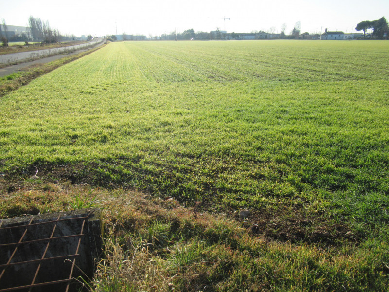 Per informazioni: 335/8345159. A Trevignano (TV), vicino alla zona industriale Sant'Elena, propon...
