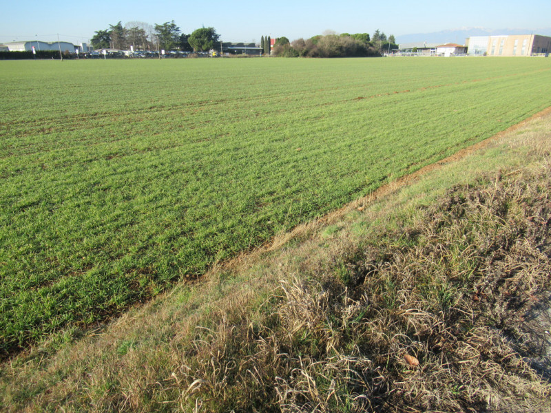 Per informazioni: 335/8345159. A Trevignano (TV), vicino alla zona industriale Sant'Elena, propon...