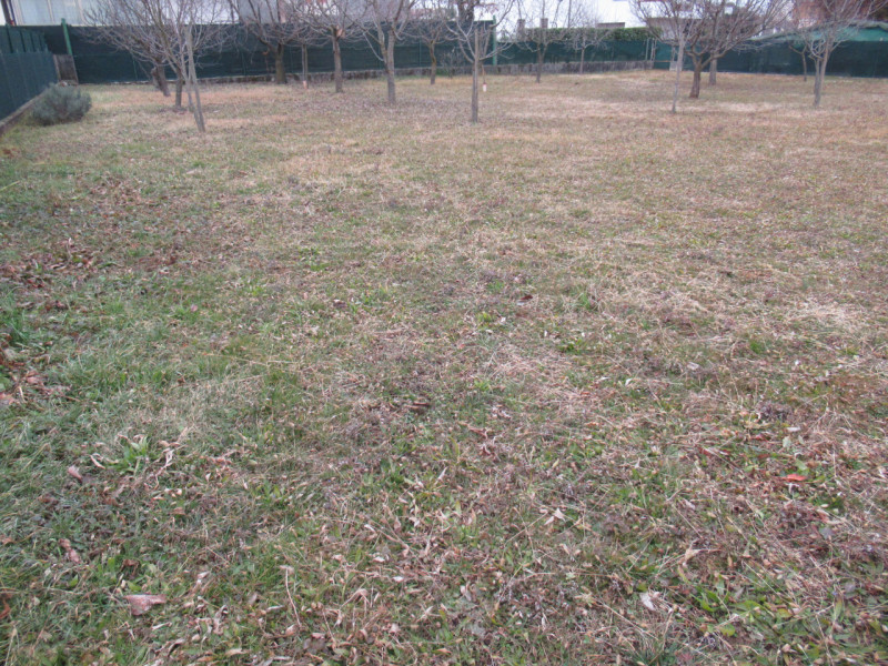 Per informazioni: 335/8345159. A Ciano del Montello, frazione di Crocetta del Montello (TV), prop...