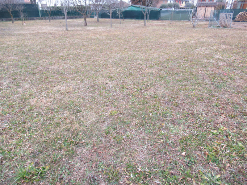 Per informazioni: 335/8345159. A Ciano del Montello, frazione di Crocetta del Montello (TV), prop...