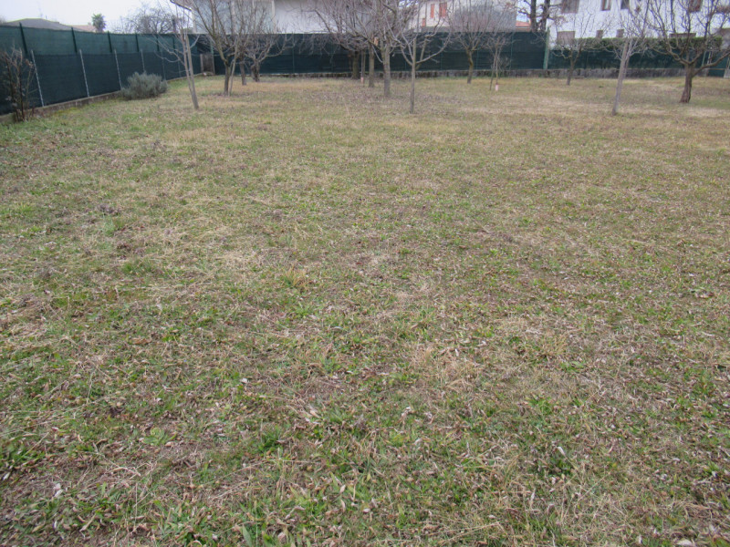 Per informazioni: 335/8345159. A Ciano del Montello, frazione di Crocetta del Montello (TV), prop...