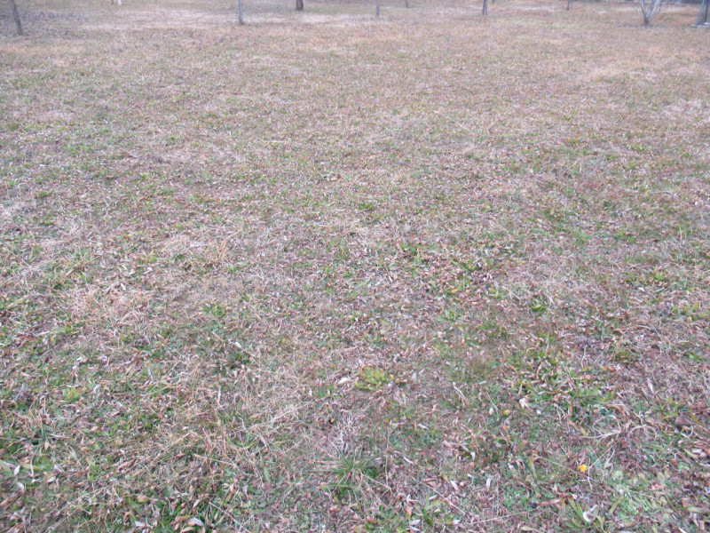 Per informazioni: 335/8345159. A Ciano del Montello, frazione di Crocetta del Montello (TV), prop...