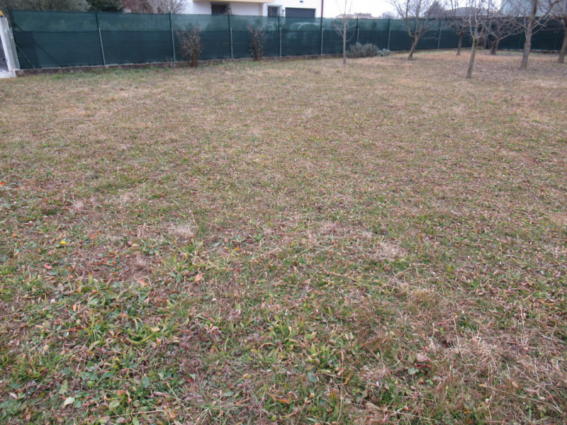 Per informazioni: 335/8345159. A Ciano del Montello, frazione di Crocetta del Montello (TV), prop...